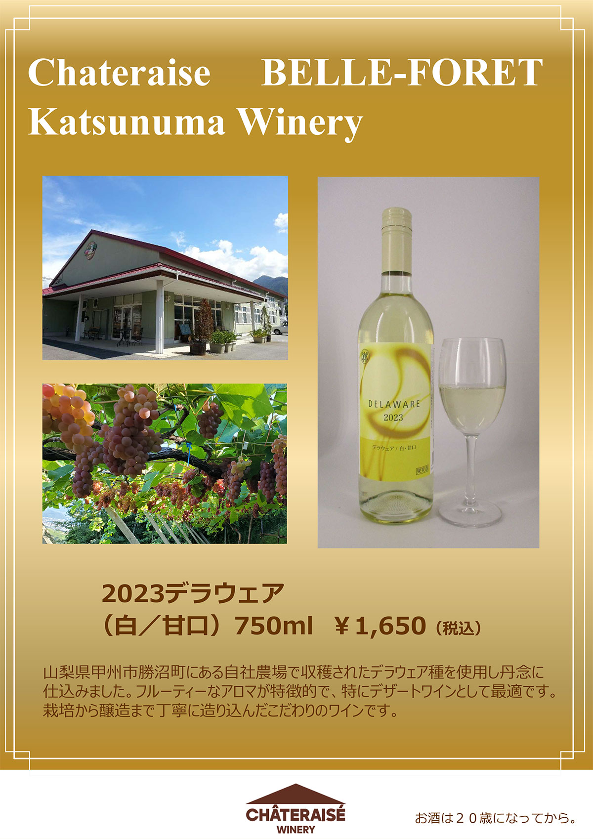 今月のおすすめワイン
