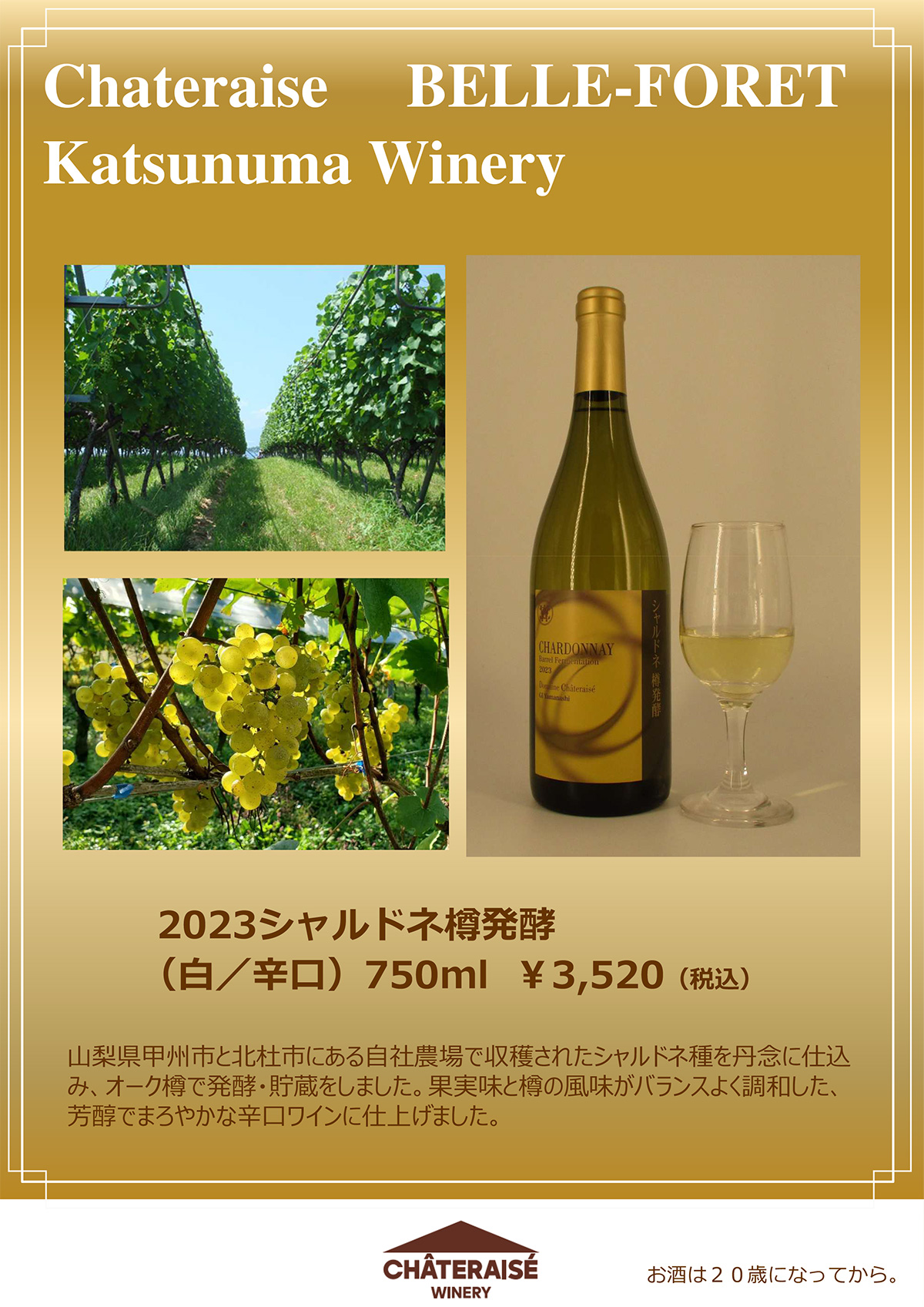 今月のおすすめワイン